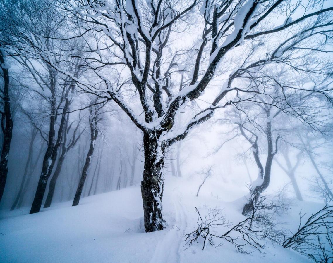 Bed and Breakfast The Joint Hakuba Esterno foto